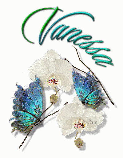 "Vanessa" - Orchidées et papillons...