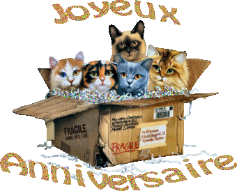 "Joyeux Anniversaire" - Des chats pour cadeau...