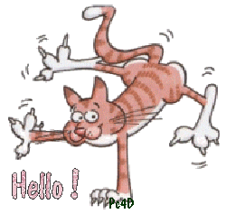 "Hello!" - Un chat éguilibriste...