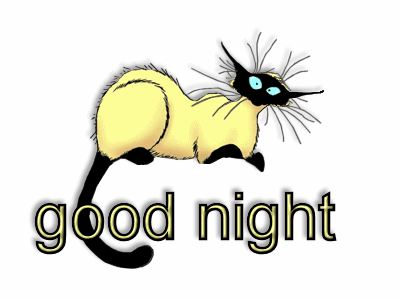 "Good night" - Chat siamois caricaturé...