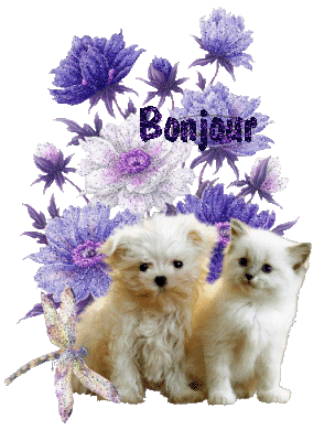 Chiot et chatons blancs sur fleurs mauves "Bonjour"...