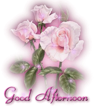 "Good afternoon" - Joli bouquet de roses...
