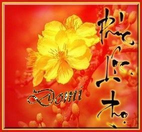 Fleur jaune et écriture chinoise...