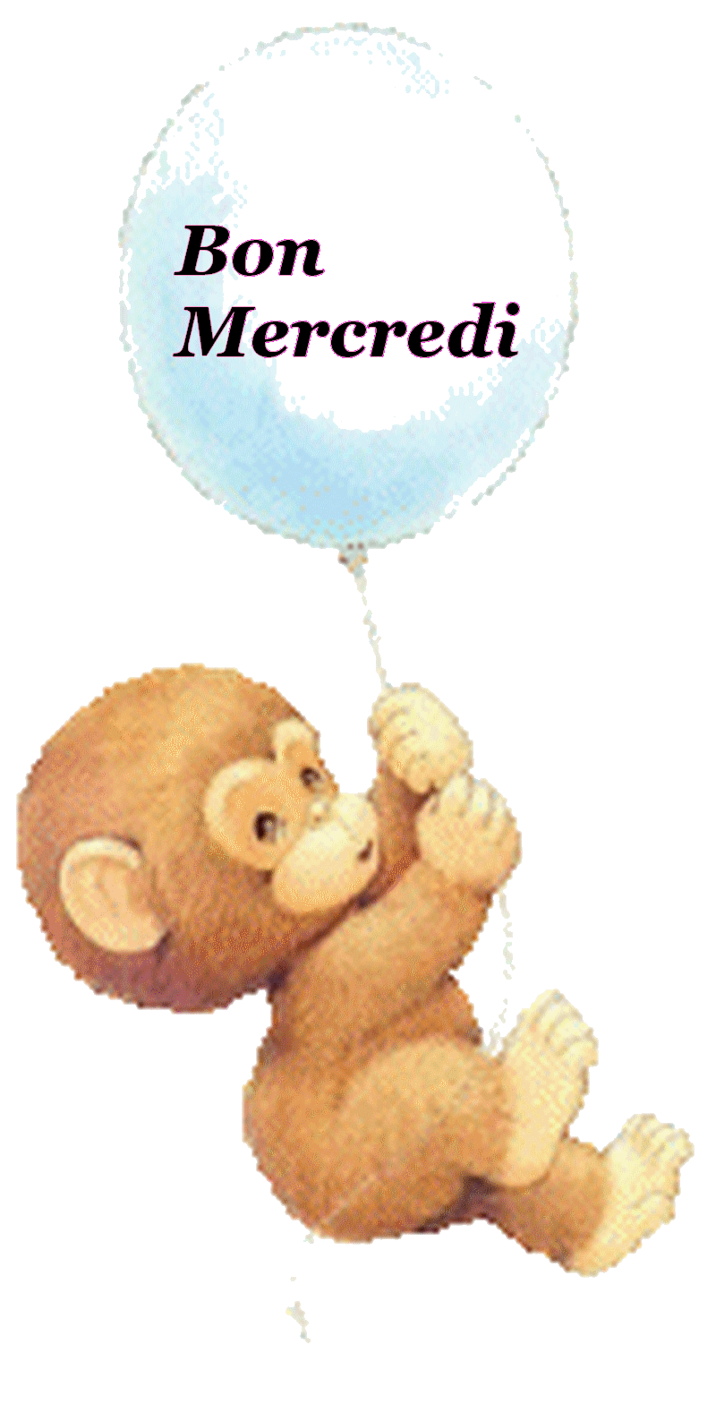Petit singe accroché à son ballon...
