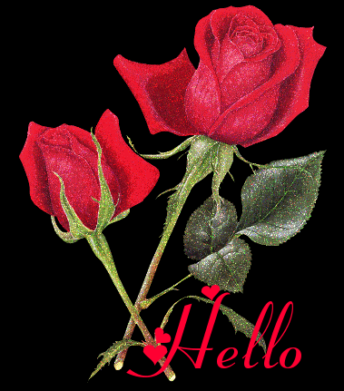 "Hello" - Roses rouges sur fond noir...