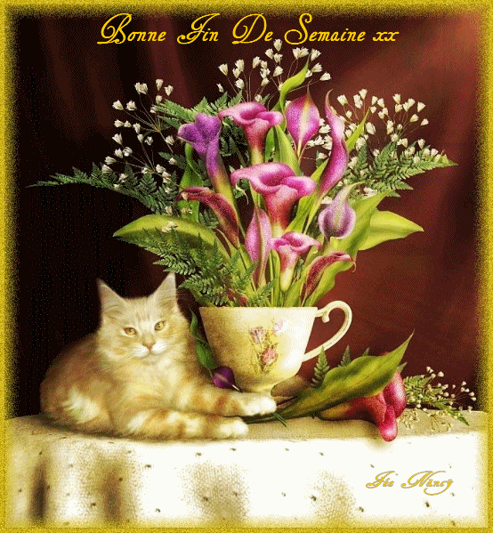 "Bonne fin de semaine" - Chat et bouquet d'arums roses...