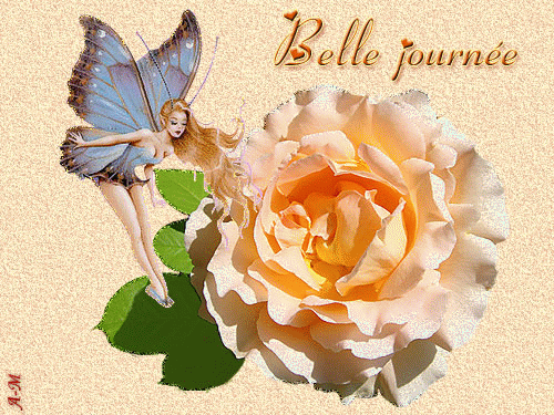 "Belle journée" - Rose subtile qui attire l'elfe-papillon...