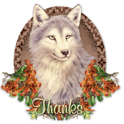 "Thanks" - Loup parmi les fleurs...