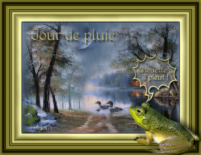 "Jour de pluie" - Grenouille "Chouette... Il pleut!"