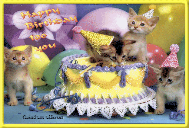 "Happy birthday to you" - Chatons jouant autour du gâteau