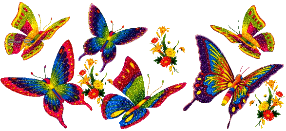 Envolée multicolore de papillons...