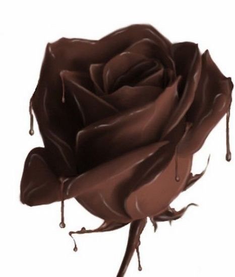 La rose en chocolat de... MA JUMELLE D'AMOUR/DOMIE...