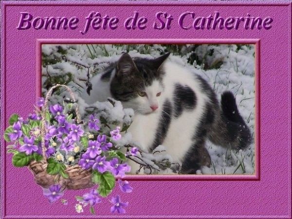 "Bonne Fête de St Catherine"...
