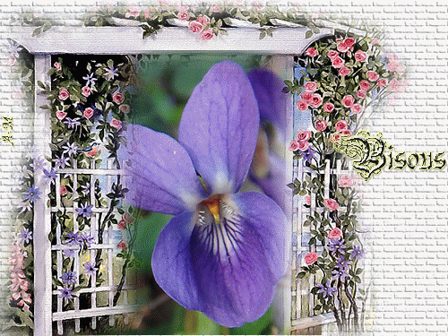 "Bisous" - Fenêtre ouverte sur des fleurs et un cygne...