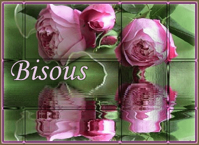 "Bisous" - Roses...