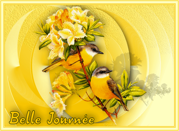 Jolis petits oiseaux jaunes soleil "Belle journée"...