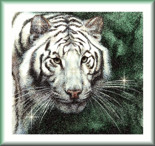 Portrait d'un tigre blanc
