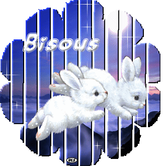 "Bisous" - Deux adorables lapinous blancs galopant...