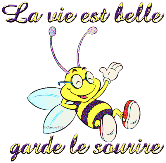 "La vie est belle garde le sourire" - Petite abeille...