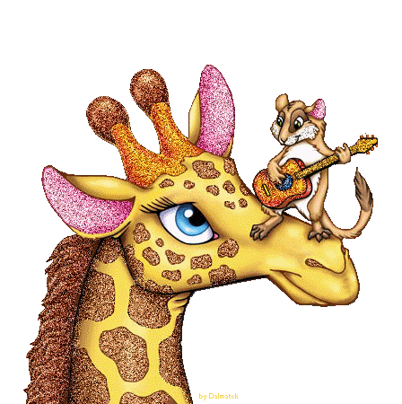 Girafe et son drôle de séducteur sur le museau