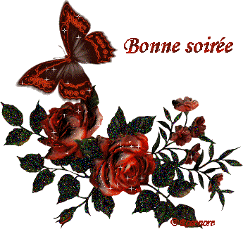 "Bonne soirée" - Papillon et roses rouges...