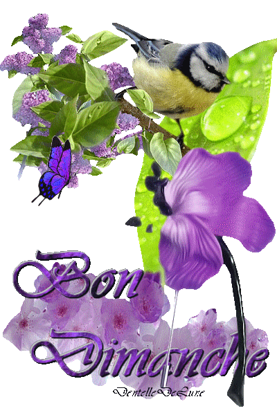 Oiseau parmi les lilas et autres fleurs  "Bon dimanche"