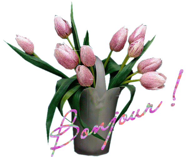 "Bonjour!" - Bouquet de tulipes roses...