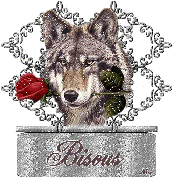 "Bisous" - Loup à la rose rouge...