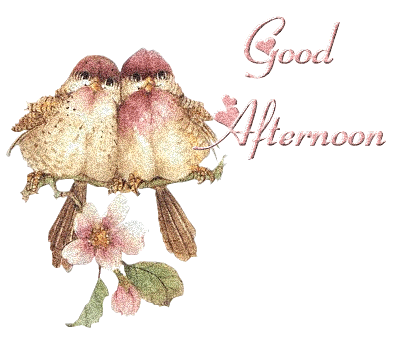 "Good Afternoon" - Deux oiseaux serrés sur une branche...