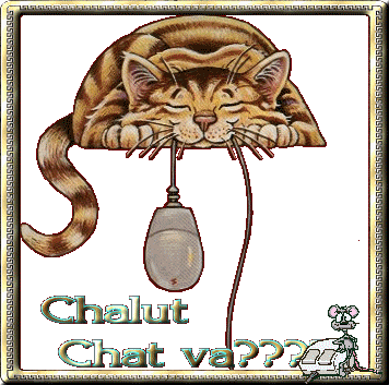 "Chalut, Chat va???"...