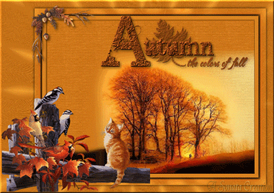 "Autumn... The colors of fall"...