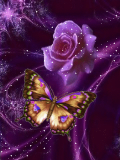 Papillon changeant de couleurs et rose mauve...