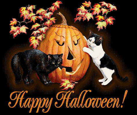 Résultat de recherche d'images pour "image chat happy halloween"