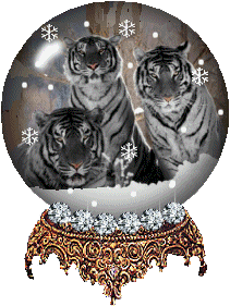 Tigres blancs - Trio -Globe