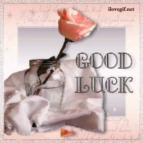 Un bouton de rose saumon dans un vase "Good luck"...