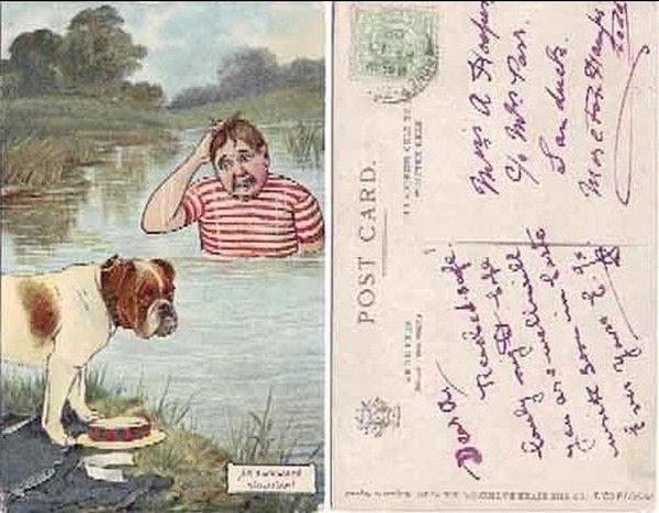Carte Postale Bulldog...