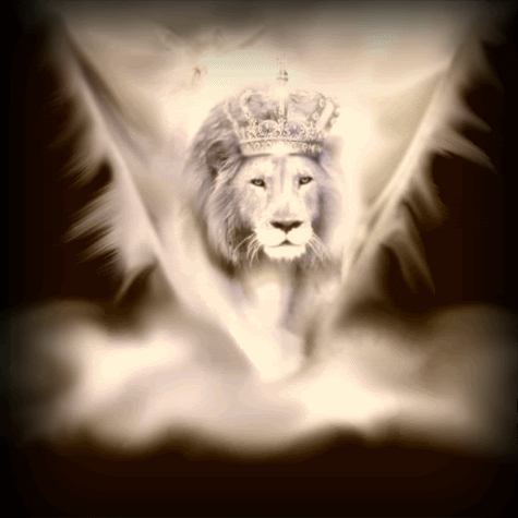 Le roi lion dans un halot de lumière...