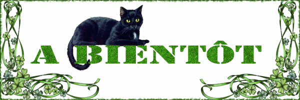 Chat noir "A bientt"...