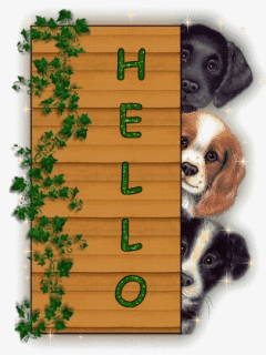 "Hello" - Trois chiots derrière la palissade...