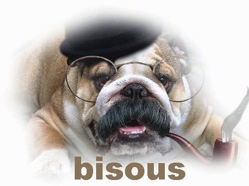 "Bisous" - Bulldog à la pipe et aux lunettes... 
