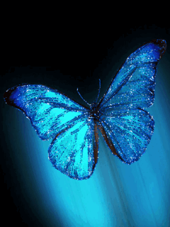 Papillon bleu...