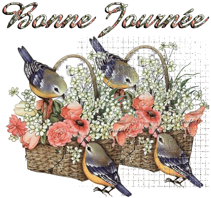 Oiseaux autour des paniers de fleurs "Bonne journée"...
