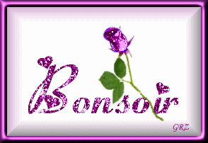 "Bonsoir" - Bouton de rose mauve...