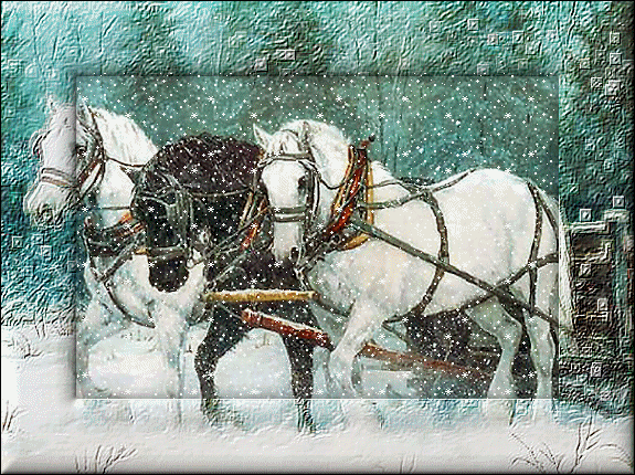 Attelage de 3 chevaux sous la neige...