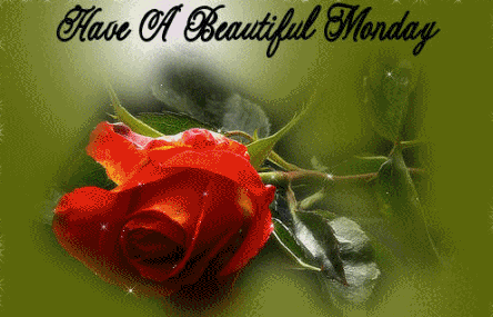 "Have a beautiful monday" - Somptueux bouton de rose rouge