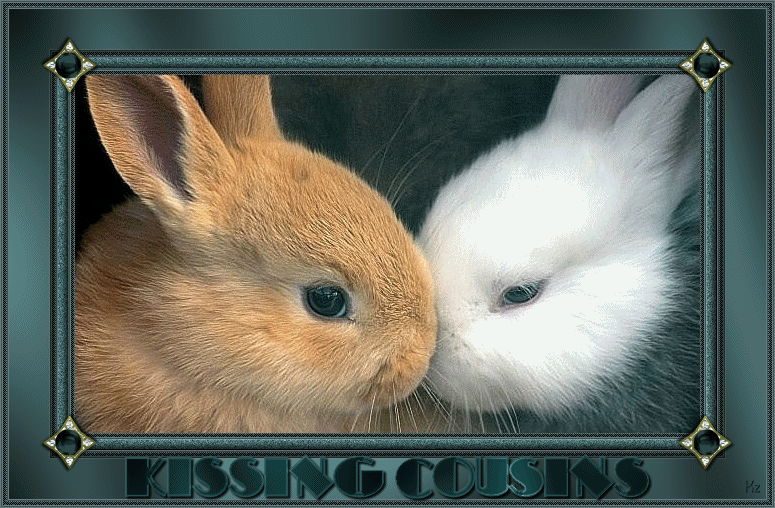 "Kissing cousins" - Deux petits lapins...