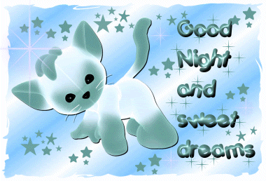 "Good night and sweet dreams" - Chat dans les étoiles