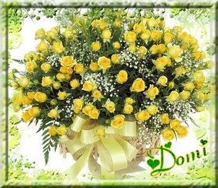 "Domi"/Bouquet de roses jaunes - Merci... CHRIS...