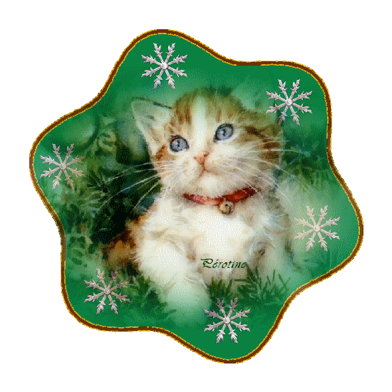 Adorable chaton sur un fond tournant vert...