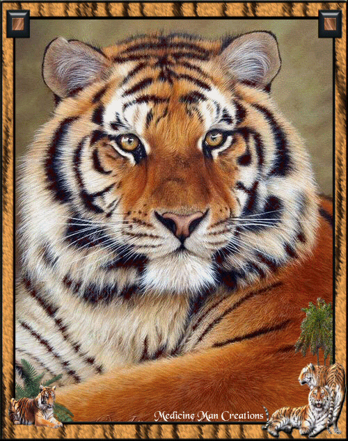 LE tigre...